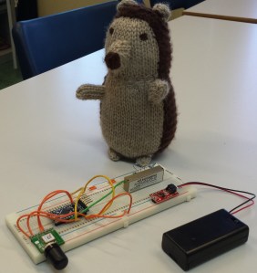 CASSiE and the proto-type flight computer