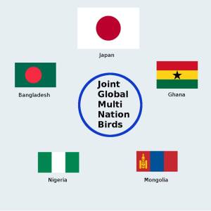 BIRDS CubeSat Nations